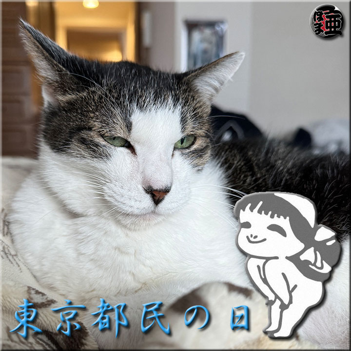 Lʐ^