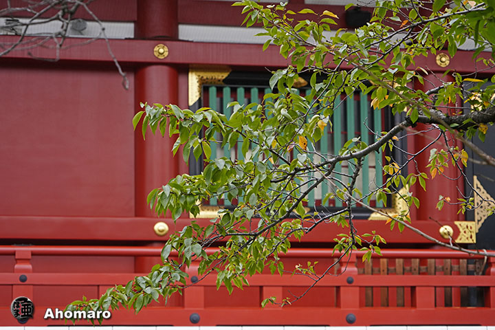 写真00