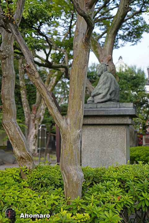 写真00
