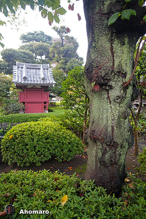 写真00