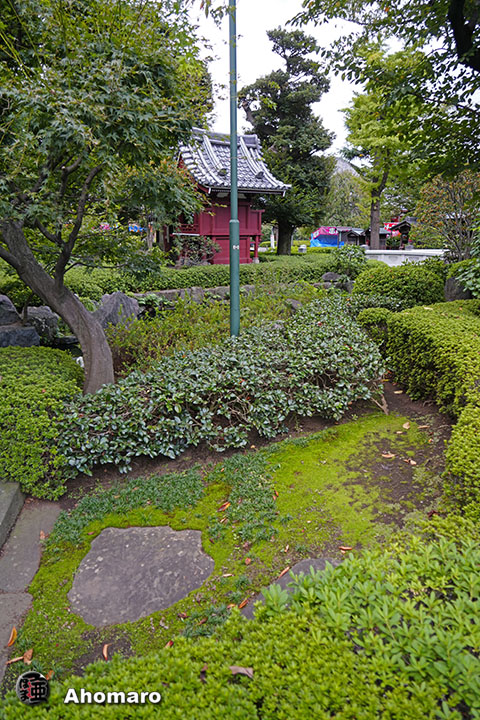 写真00