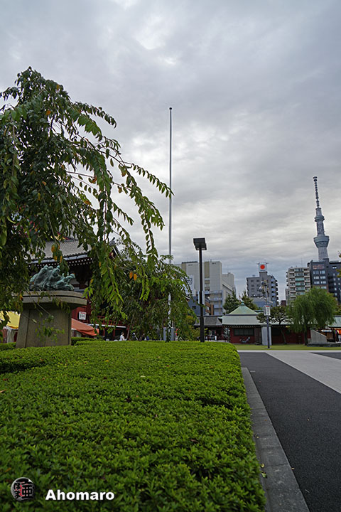 写真00