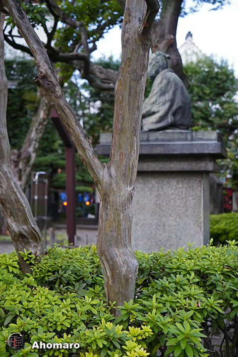 写真00
