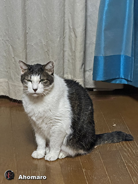 ʐ^00