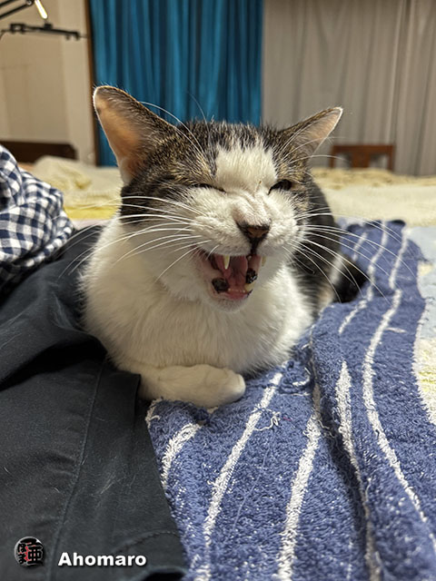 ʐ^00