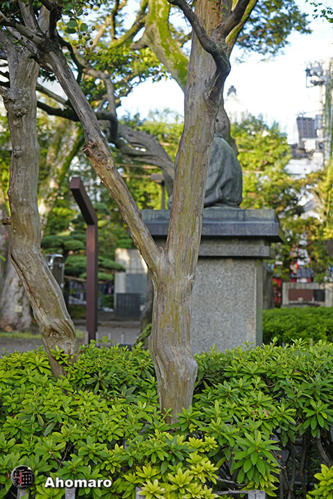 写真00