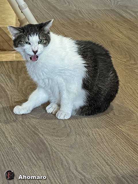 ʐ^00