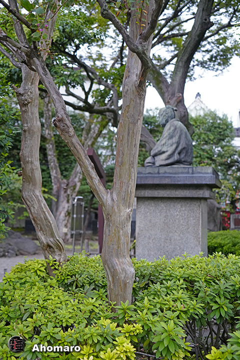 写真00