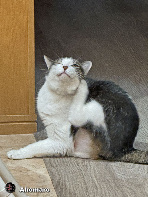 ʐ^00