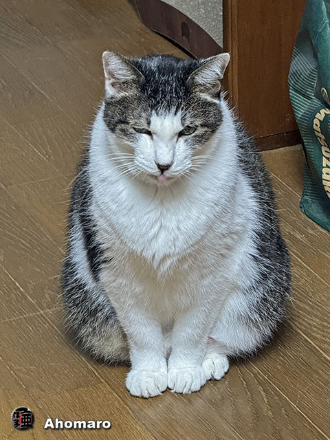 ʐ^00