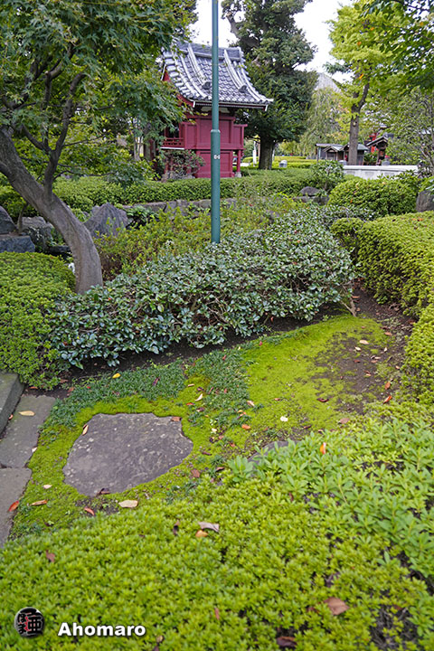 写真00