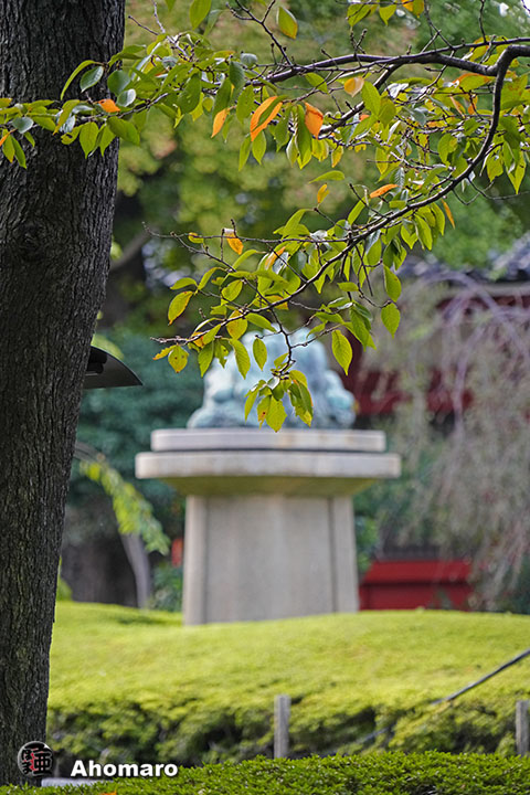 写真00