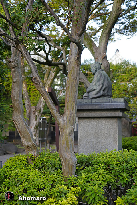 写真00