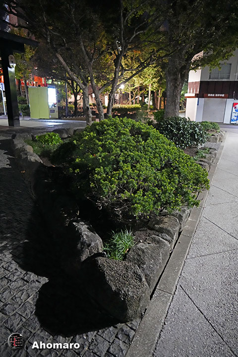 写真00