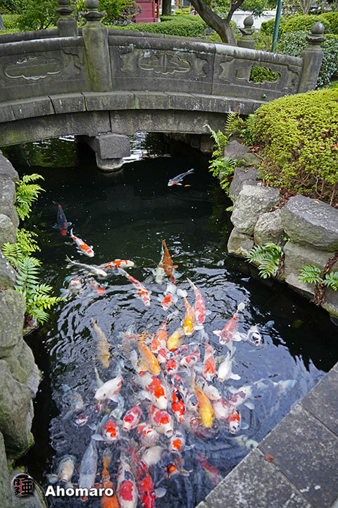 写真00