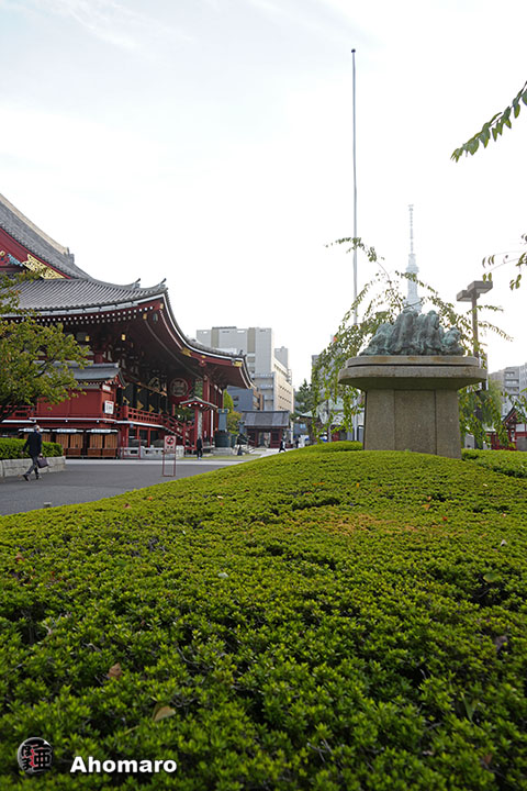 写真00