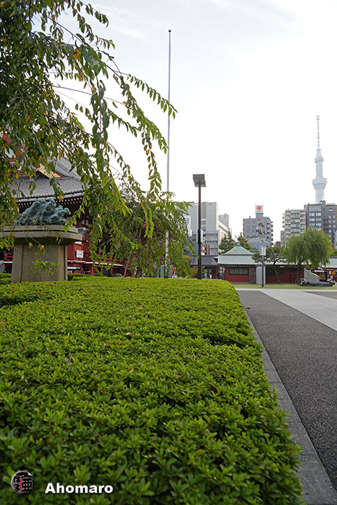 写真00