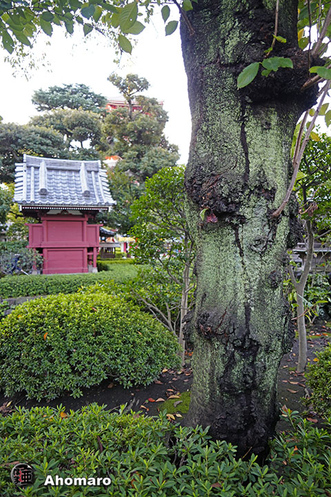 写真00