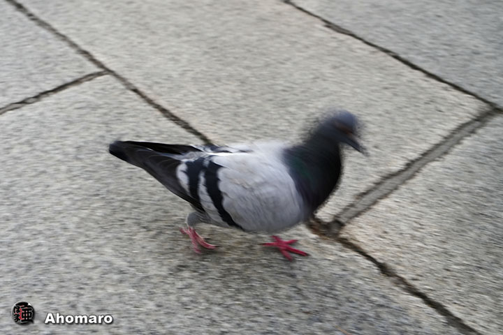 ʐ^00