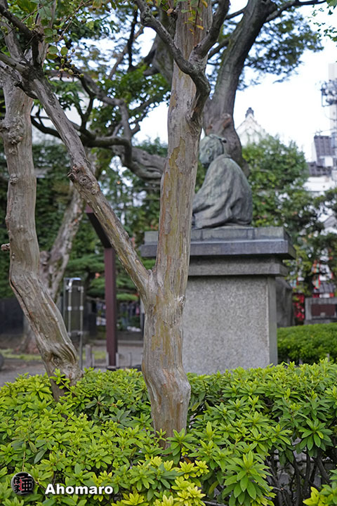 写真00