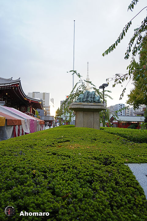 写真00
