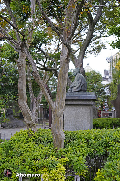 写真00