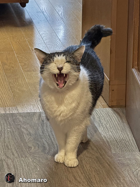 ʐ^00