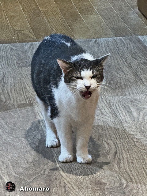 ʐ^00