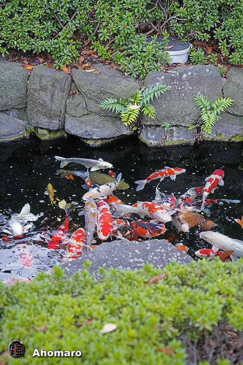 写真00