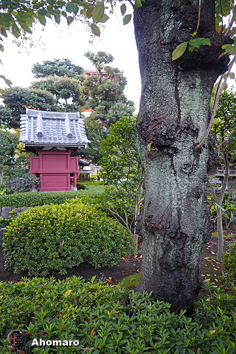 写真00