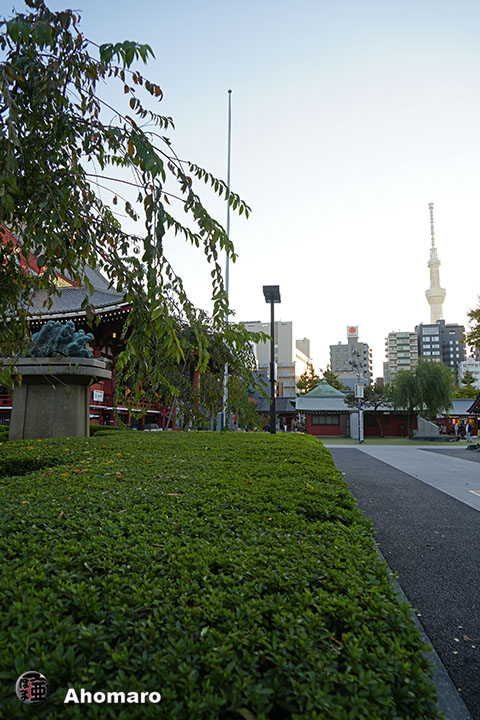 写真00