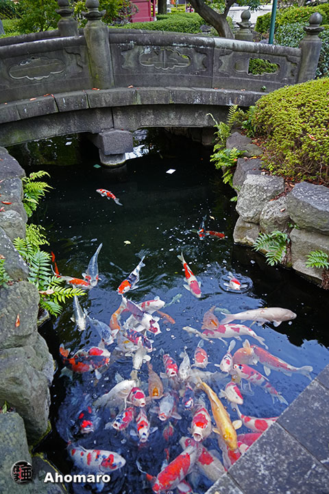 写真00