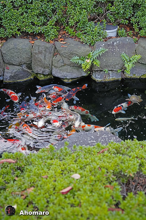 写真00