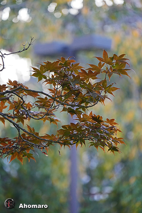 写真00