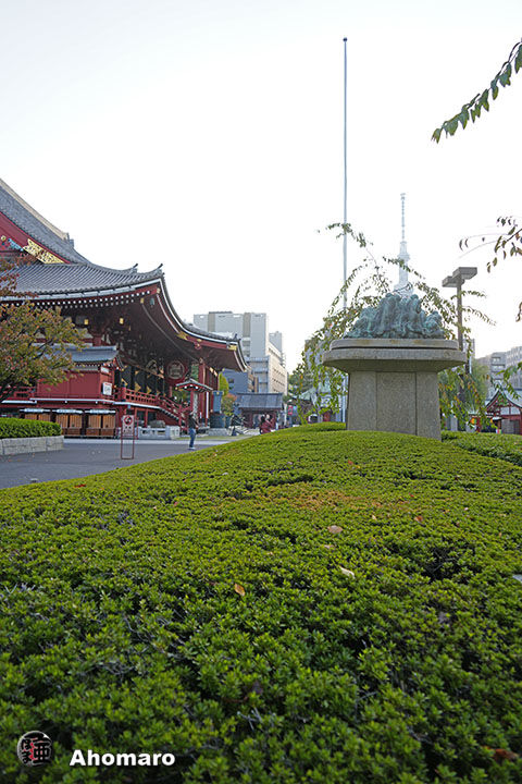 写真00