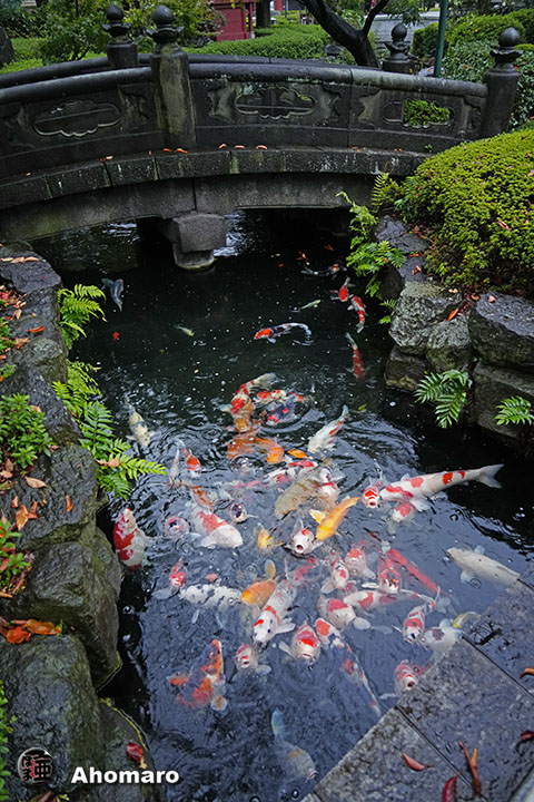 写真00