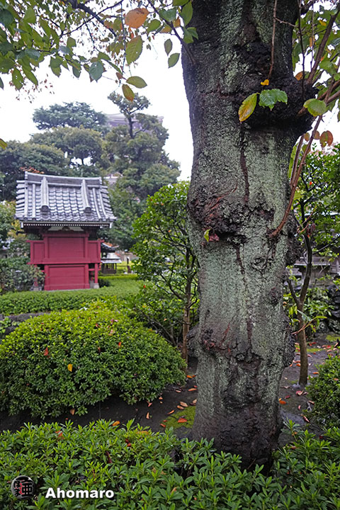 写真00