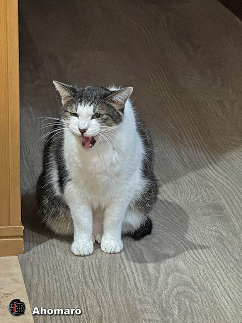 ʐ^00