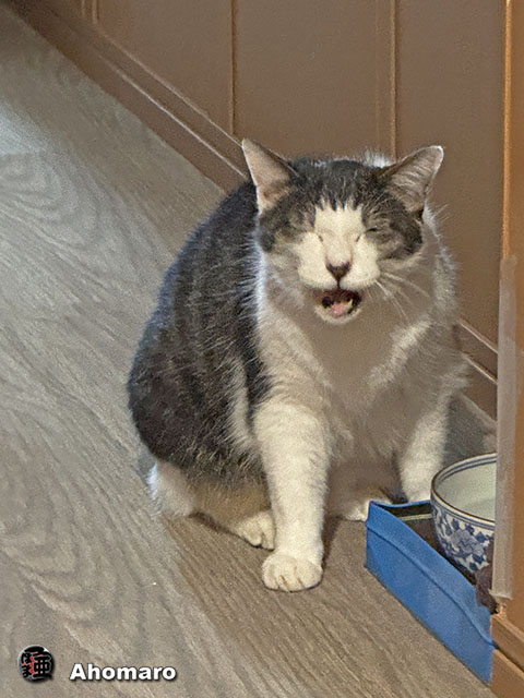 ʐ^00