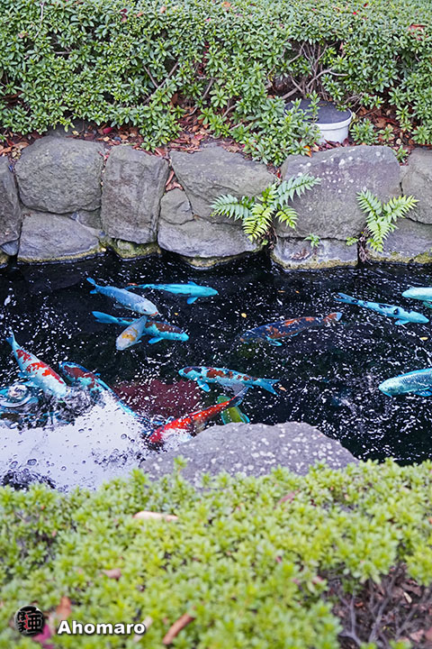 写真00