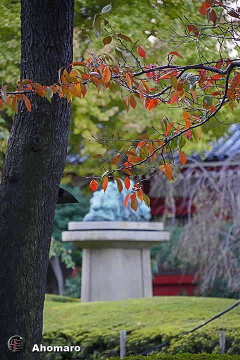 写真00