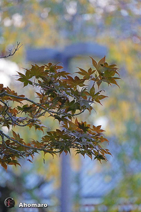 写真00