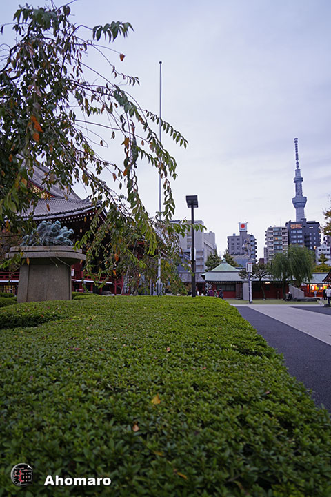 写真00