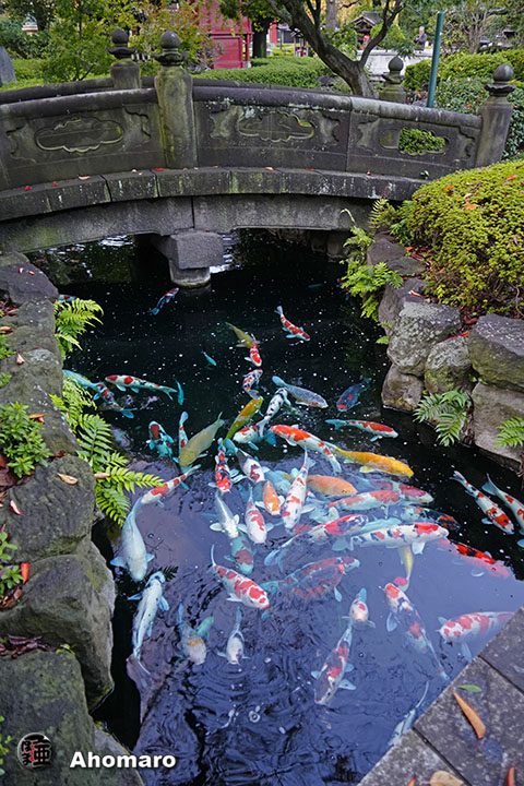 写真00
