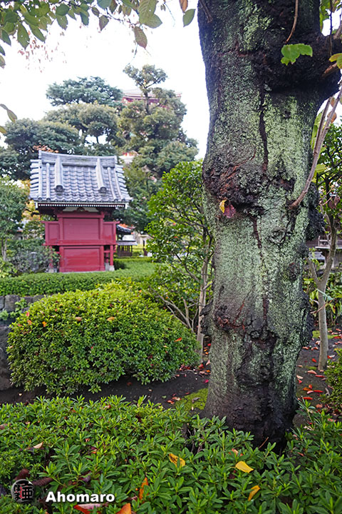写真00