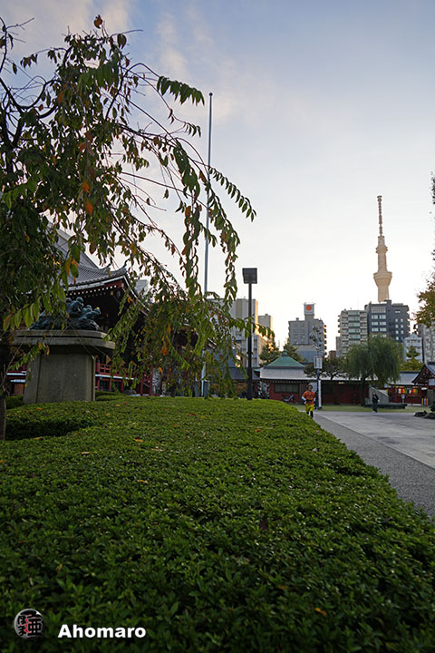 写真00