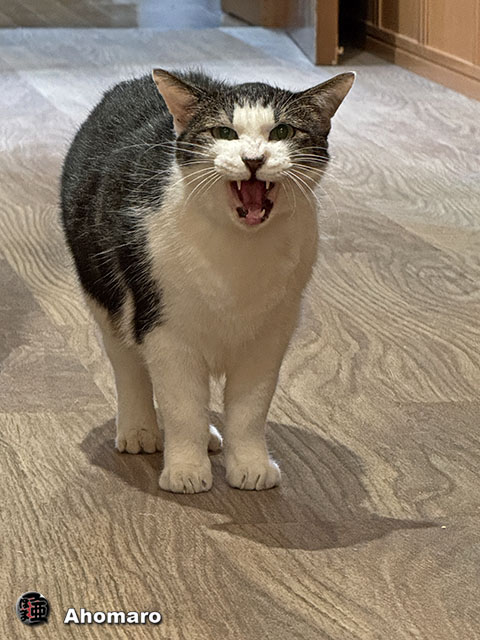 ʐ^00