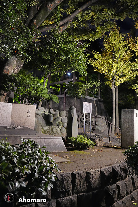 写真00