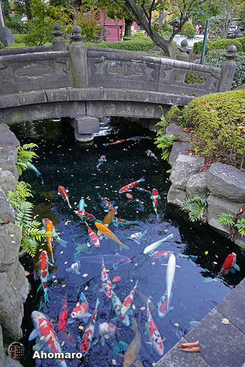 写真00