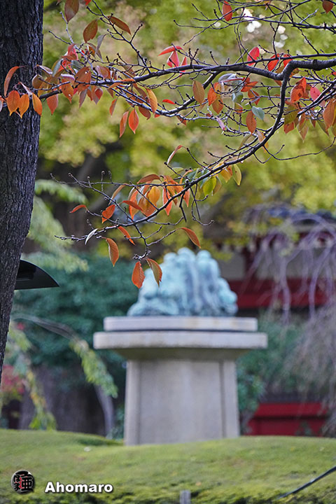 写真00